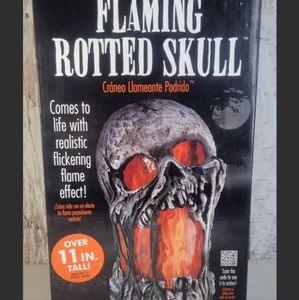 11" Flaming Rotted Skull Halloween Animated Prop New In Box